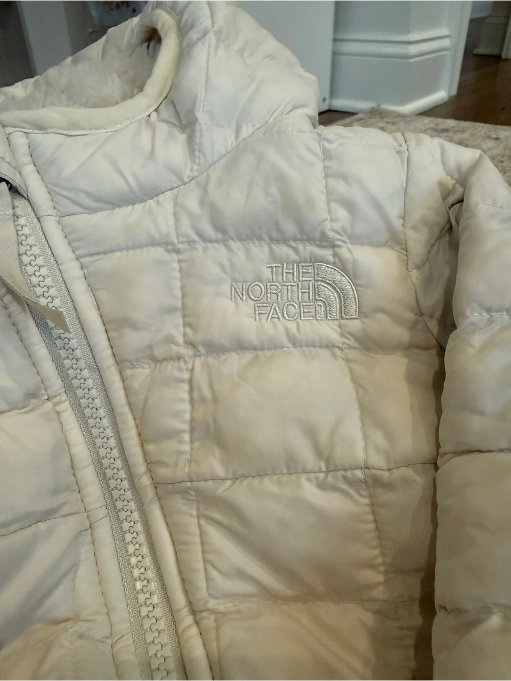 The North Face north face
